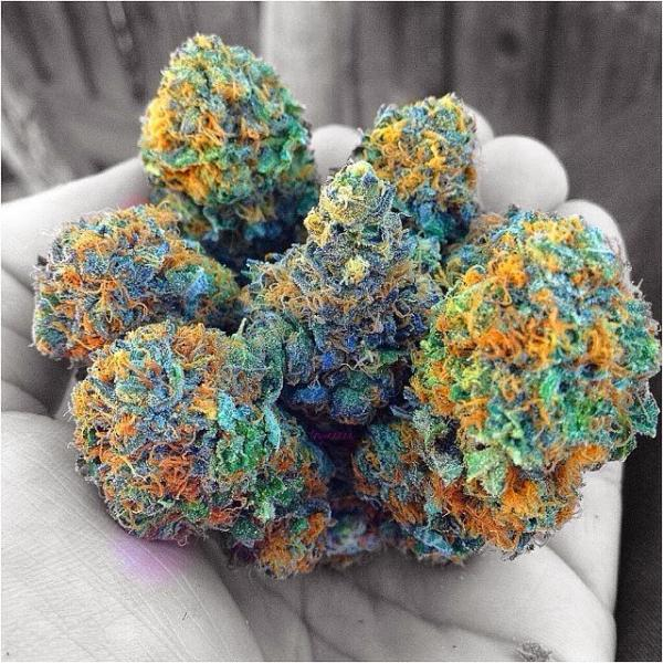 Pretty MJ buds